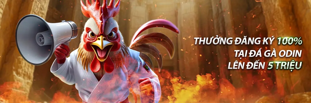 Sân đấu đá gà trực tuyến tại OKVIP Liên Minh